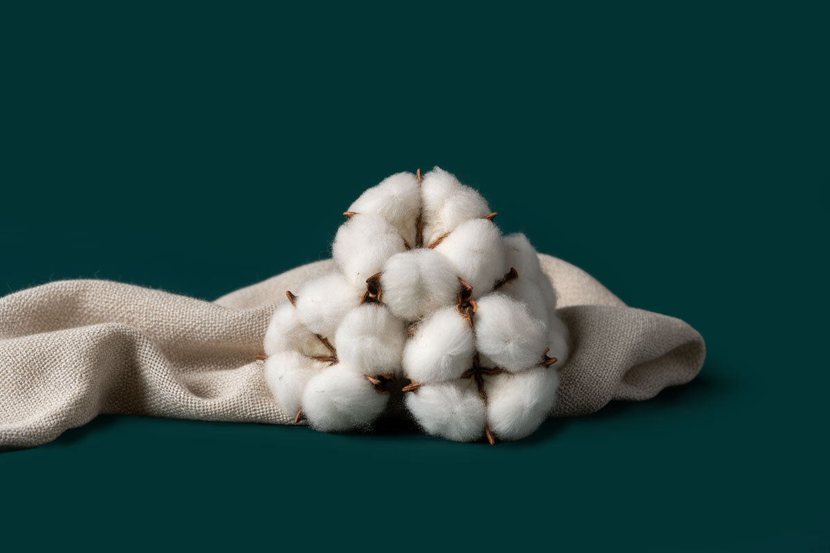 Die Vorteile von Bio-Baumwolle Vorschaubild - VIVID Blog