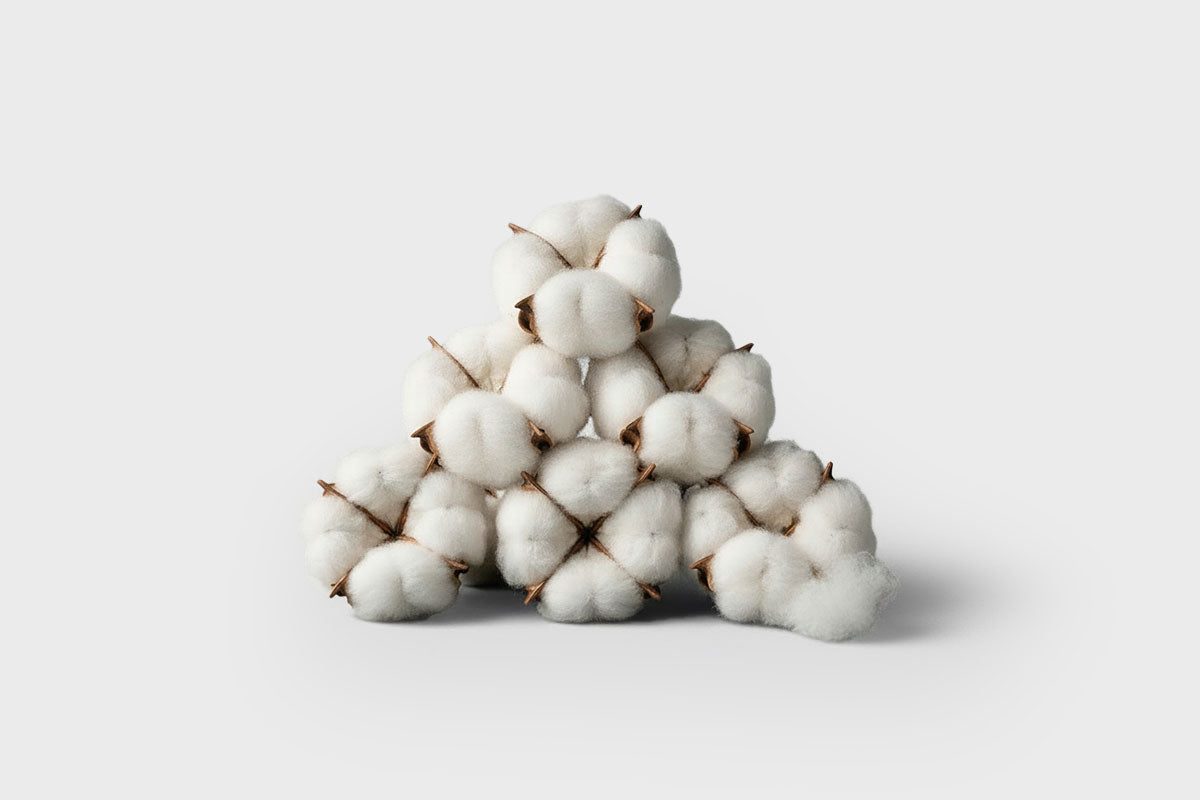 Die Vorteile von Bio-Baumwolle Vorschaubild - VIVID Blog